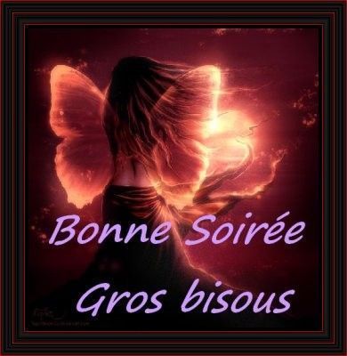 coucou du jour Bd012244